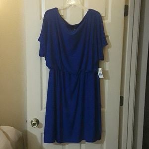Cobalt Blue Dress